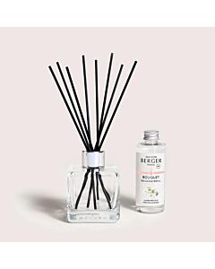 Maison Berger Precious Jasmine Scented Bouquet